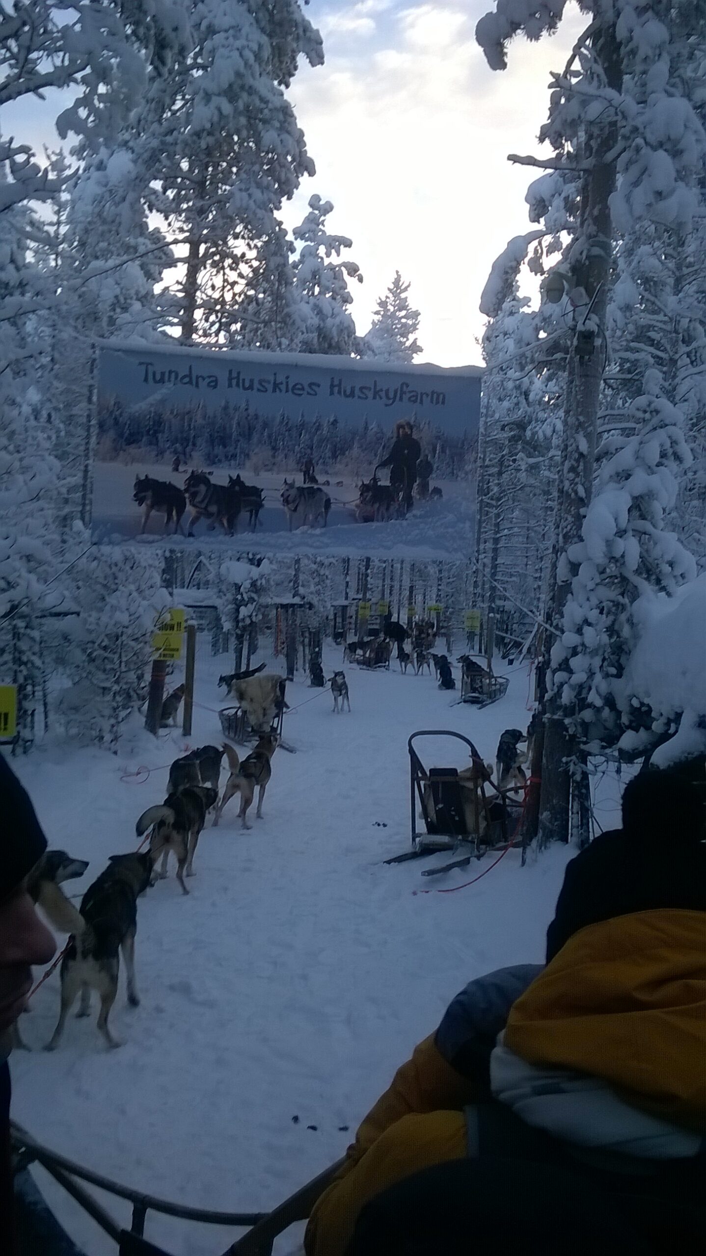 Incentive Reizen Aartselaar Lapland